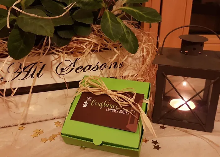 Chez Constance Saillon