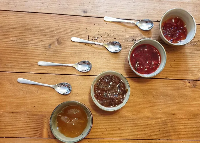 Chez Constance 여관 사이옹