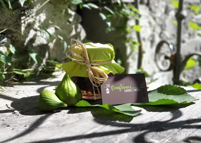 Mini-hôtel Chez Constance Saillon